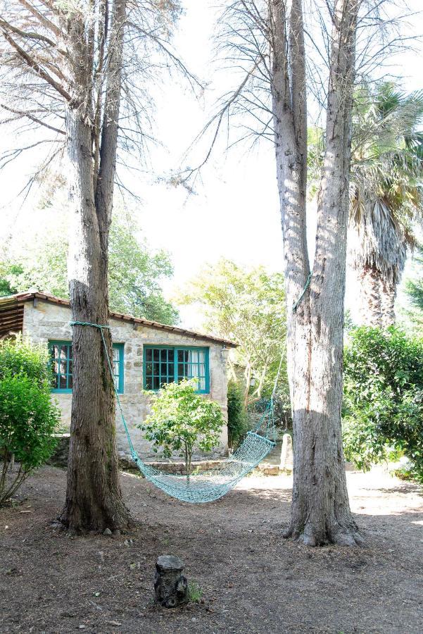 Neiva River House - Azenha Next To The River Esposende Extérieur photo