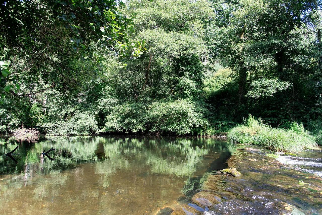 Neiva River House - Azenha Next To The River Esposende Extérieur photo